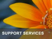 Yellow daisy in background and support services text